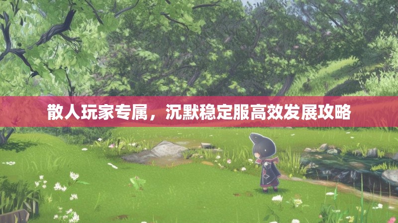 散人玩家专属，沉默稳定服高效发展攻略