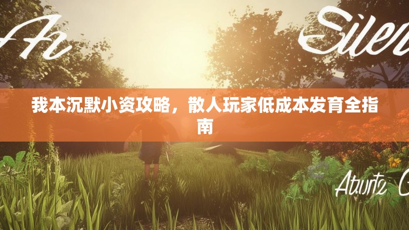 我本沉默小资攻略，散人玩家低成本发育全指南