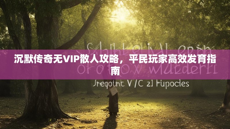 沉默传奇无VIP散人攻略，平民玩家高效发育指南