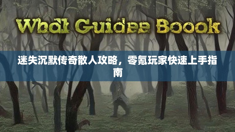 迷失沉默传奇散人攻略,零氪玩家快速上手指南