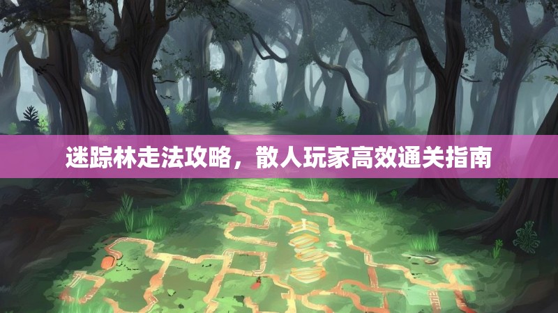 迷踪林走法攻略，散人玩家高效通关指南
