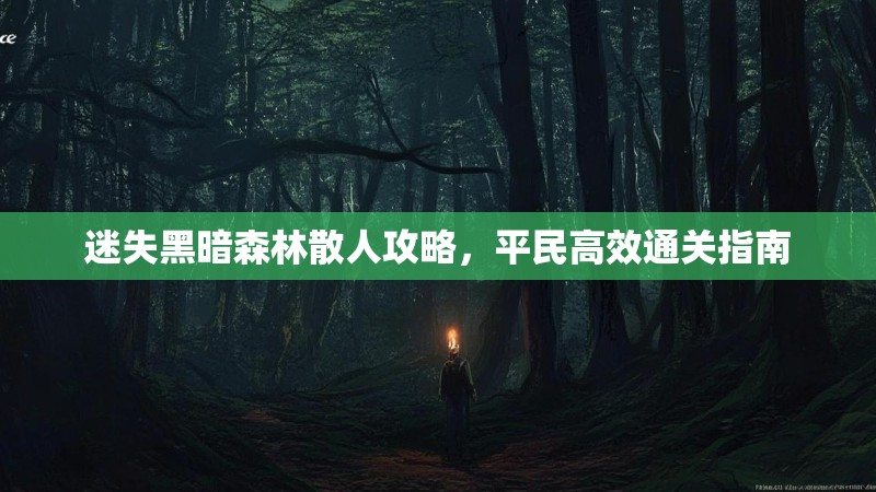 迷失黑暗森林散人攻略，平民高效通关指南
