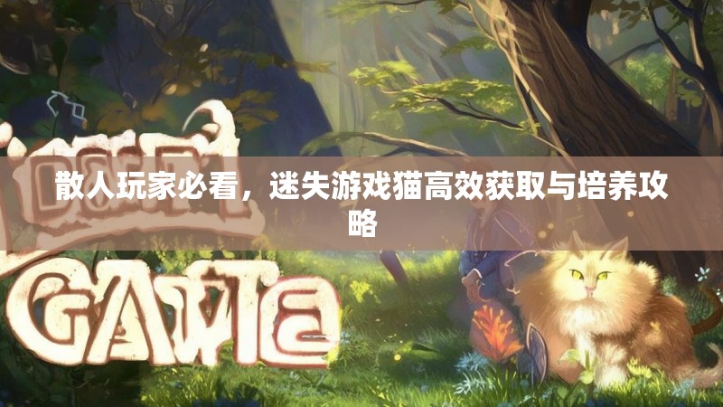 散人玩家必看，迷失游戏猫高效获取与培养攻略