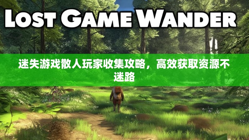 迷失游戏散人玩家收集攻略，高效获取资源不迷路