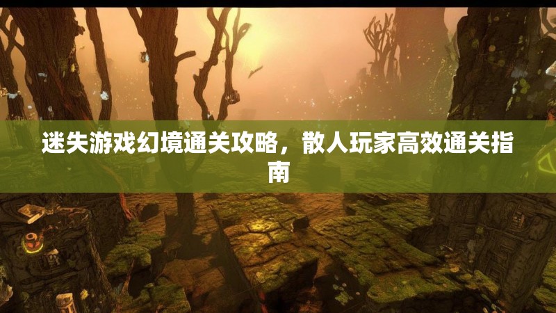迷失游戏幻境通关攻略，散人玩家高效通关指南