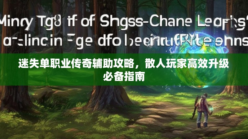 迷失单职业传奇辅助攻略，散人玩家高效升级必备指南