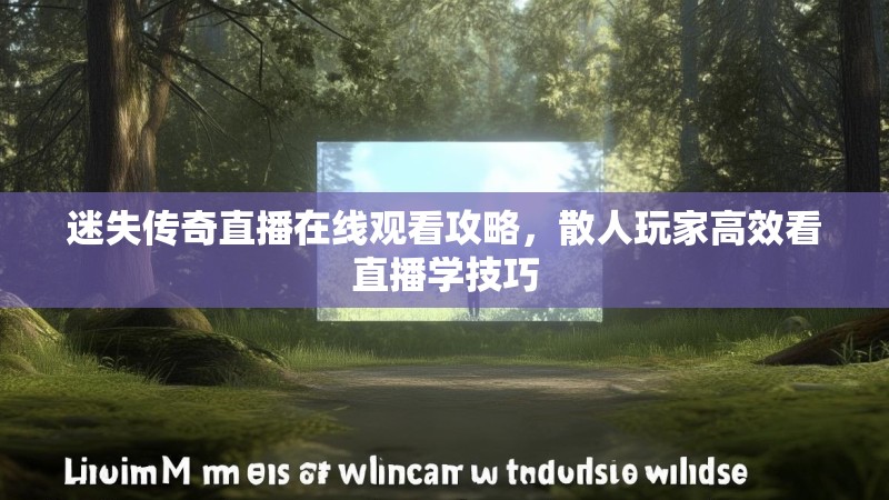 迷失传奇直播在线观看攻略，散人玩家高效看直播学技巧