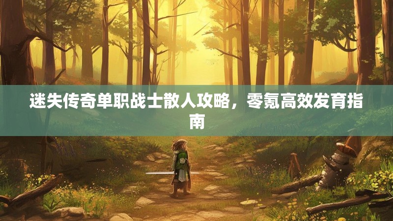 迷失传奇单职战士散人攻略，零氪高效发育指南