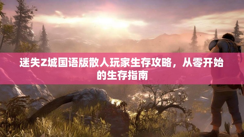迷失Z城国语版散人玩家生存攻略，从零开始的生存指南