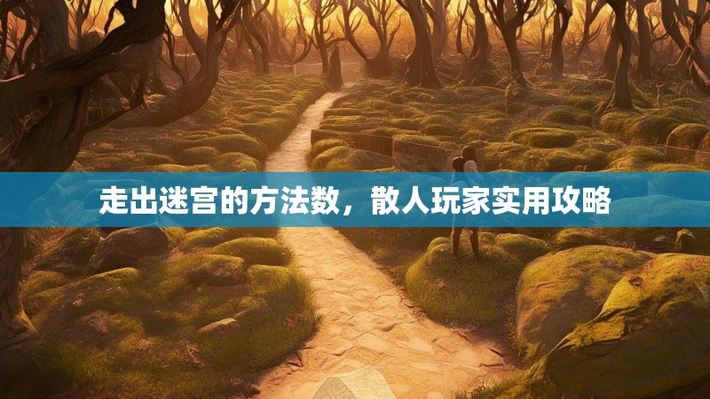 走出迷宫的方法数，散人玩家实用攻略