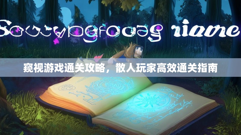 窥视游戏通关攻略，散人玩家高效通关指南