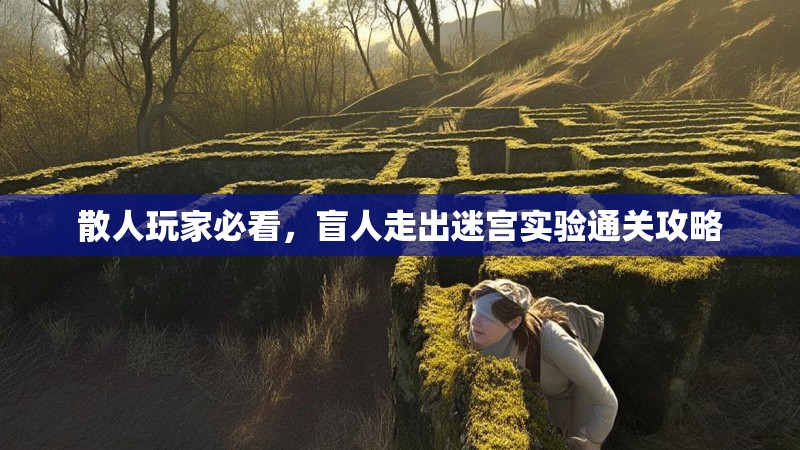 散人玩家必看，盲人走出迷宫实验通关攻略