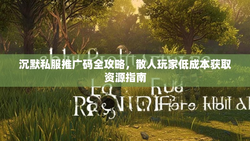 沉默私服推广码全攻略，散人玩家低成本获取资源指南