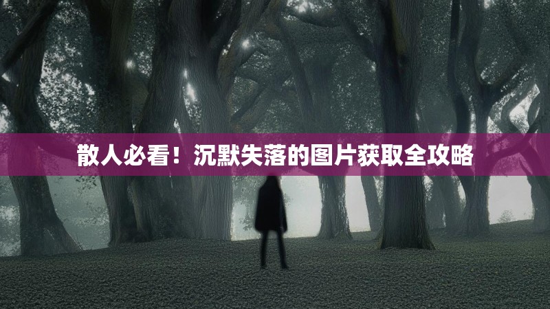 散人必看！沉默失落的图片获取全攻略