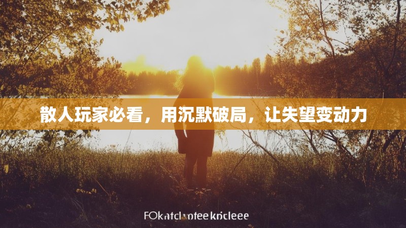 散人玩家必看，用沉默破局，让失望变动力