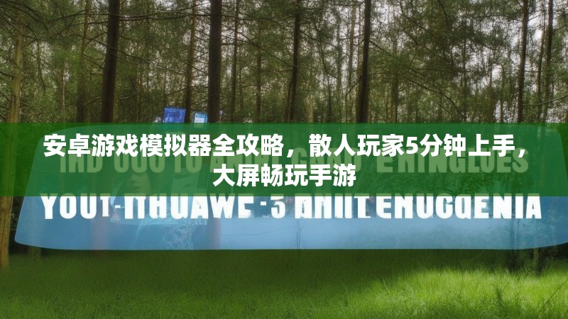 安卓游戏模拟器全攻略，散人玩家5分钟上手，大屏畅玩手游
