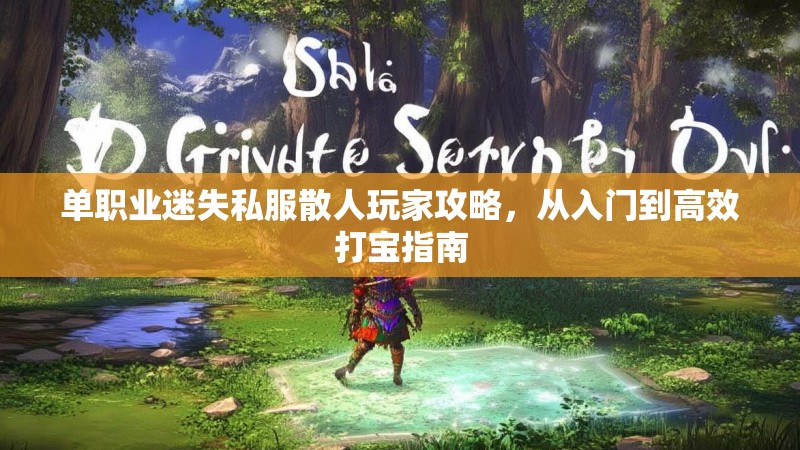 单职业迷失私服散人玩家攻略，从入门到高效打宝指南