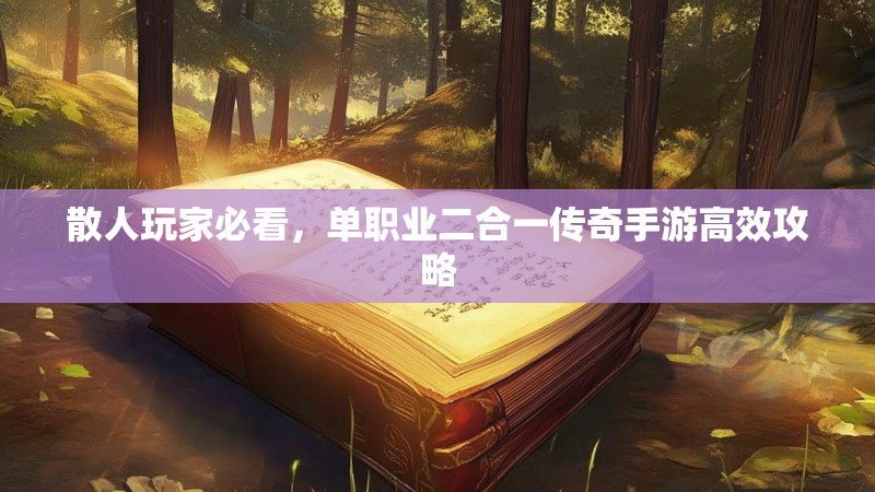 散人玩家必看，单职业二合一传奇手游高效攻略