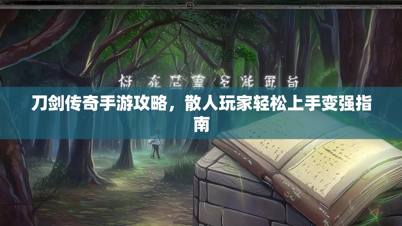 刀剑传奇手游攻略，散人玩家轻松上手变强指南