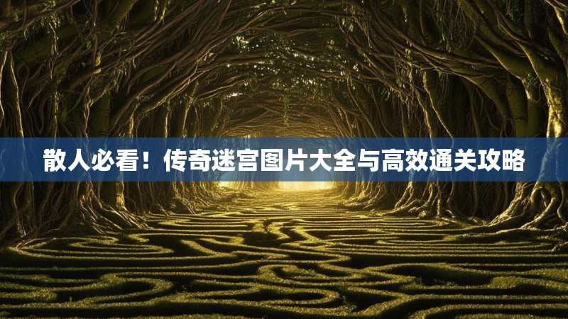 散人必看！传奇迷宫图片大全与高效通关攻略
