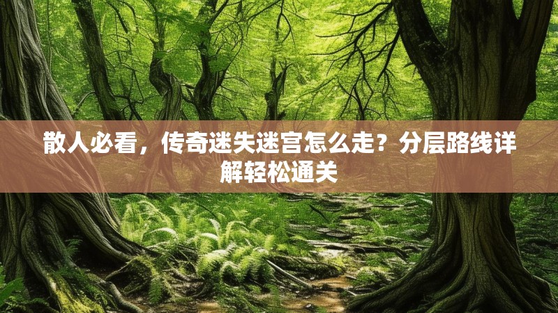 散人必看，传奇迷失迷宫怎么走？分层路线详解轻松通关