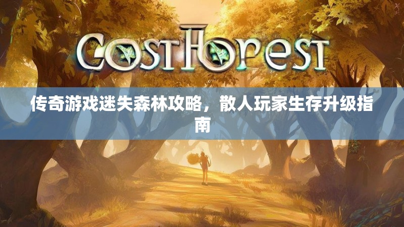 传奇游戏迷失森林攻略，散人玩家生存升级指南