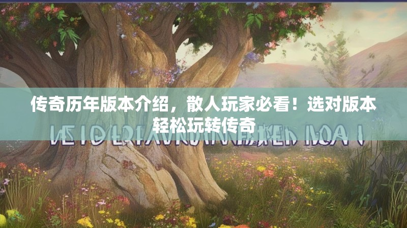 传奇历年版本介绍，散人玩家必看！选对版本轻松玩转传奇